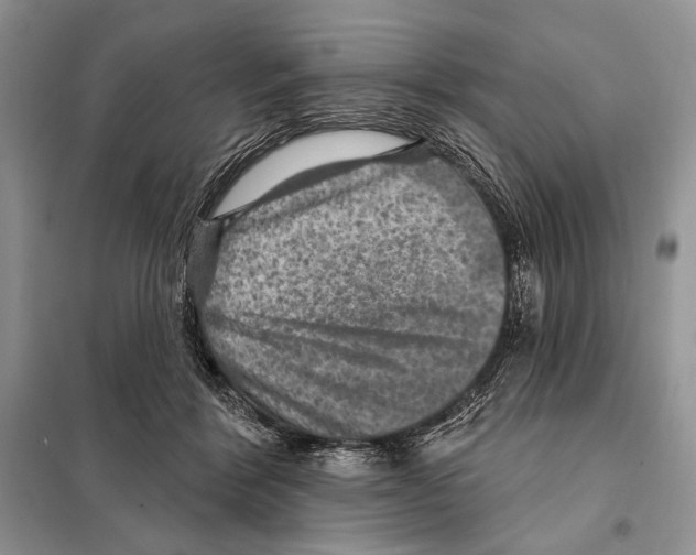 X0000098070412200805021002