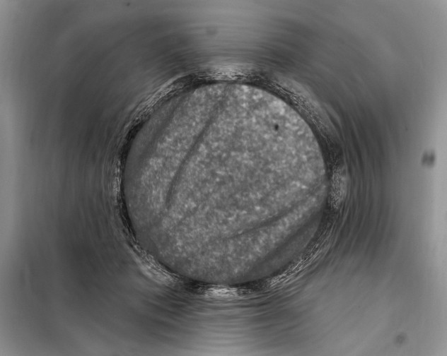 X0000098070413200805021002