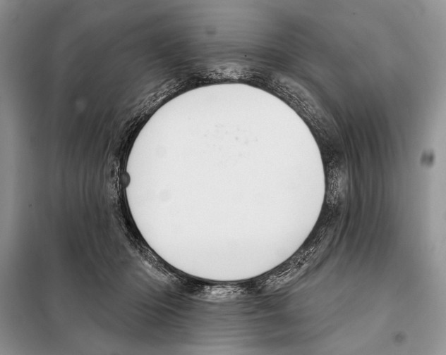 X0000098070414200805021002