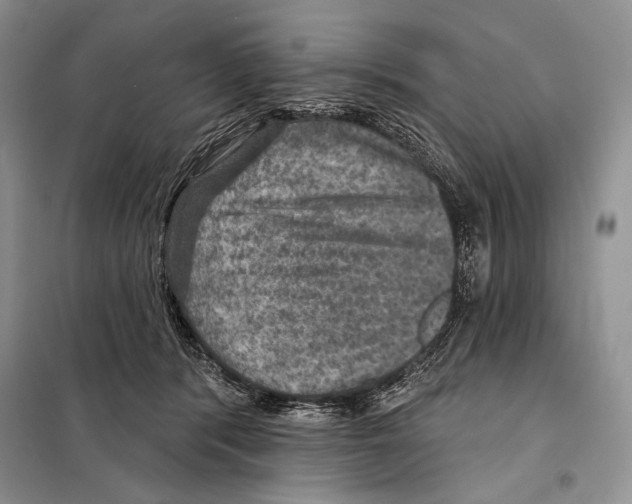 X0000098070416200805021002