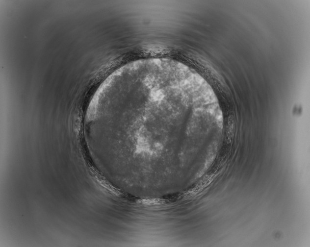 X0000098070417200805021002