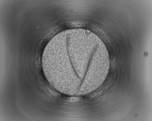 X0000098070418200805021002