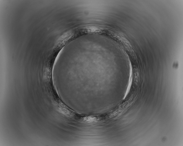 X0000098070419200805021002