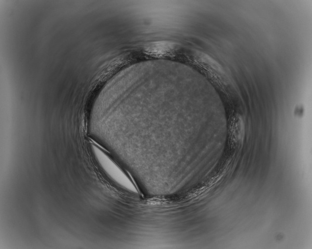 X0000098070420200805021002