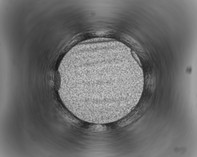 X0000098070421200805021002