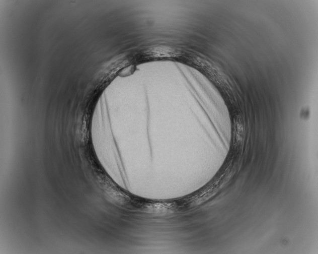 X0000098070422200805021002