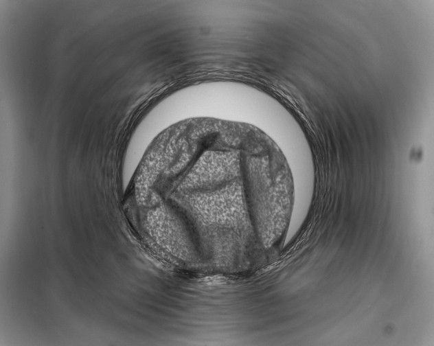 X0000098070423200805021002