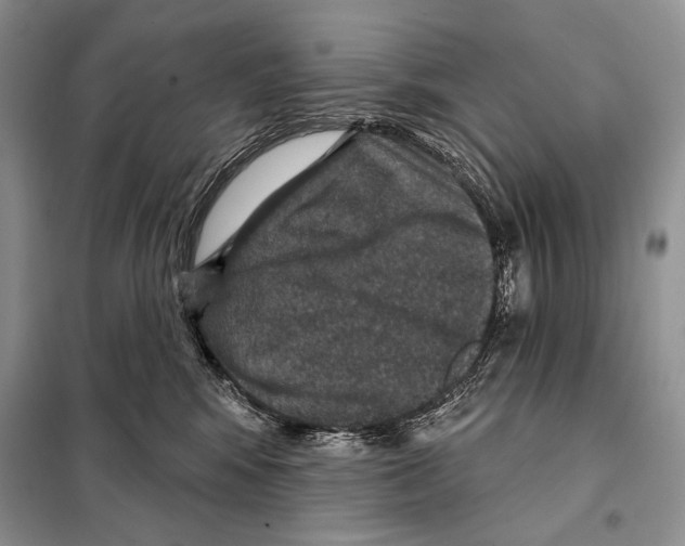 X0000098070424200805021002