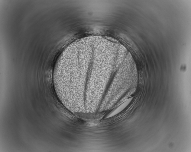 X0000098070425200805021002