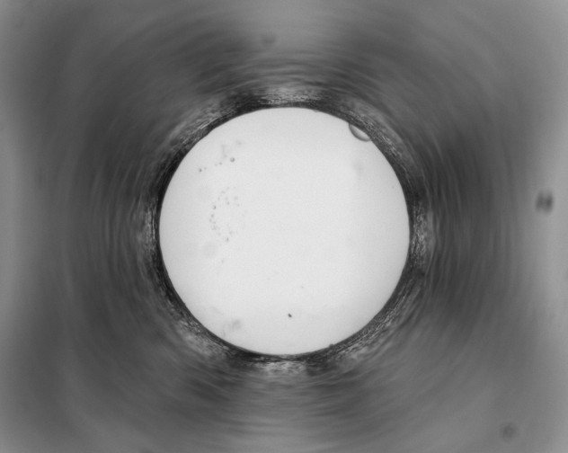 X0000098070426200805021002