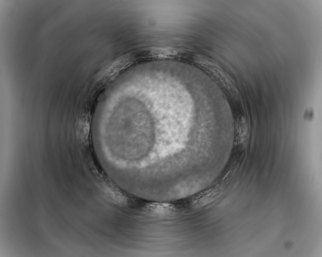 X0000098070427200805021002