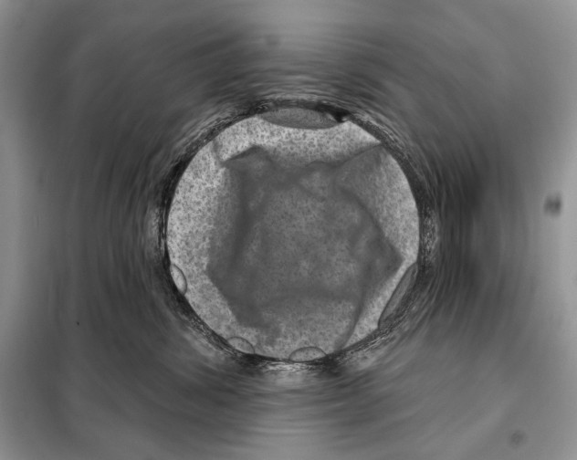 X0000098070428200805021002