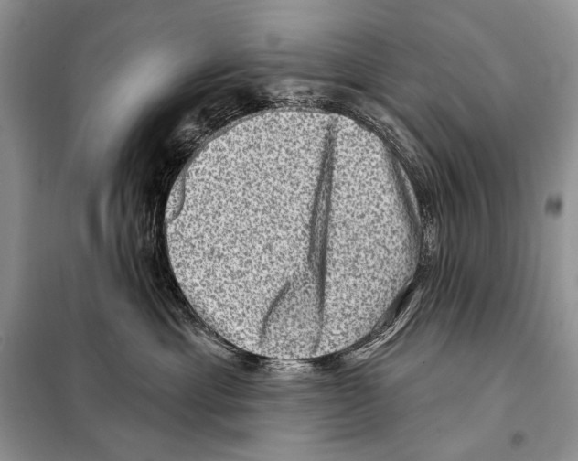 X0000098070429200805021002