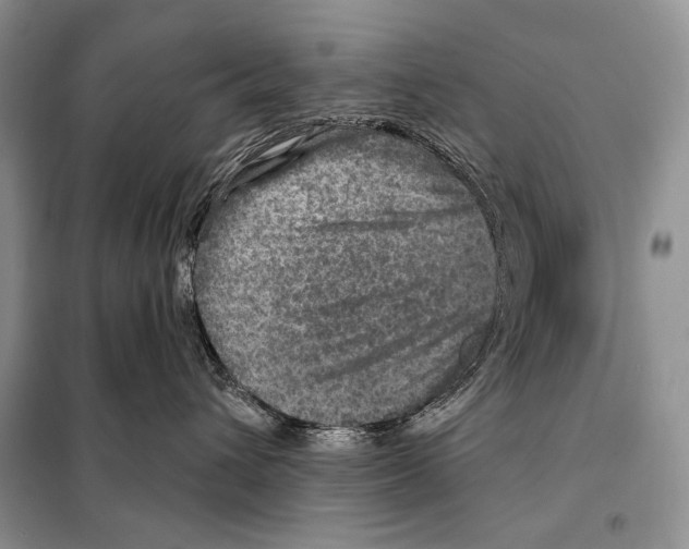 X0000098070432200805021002