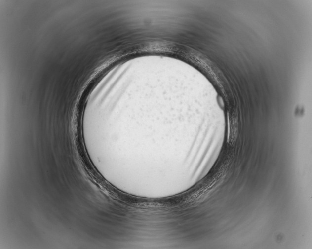 X0000098070435200805021001