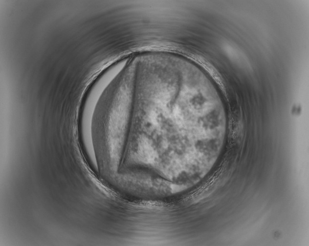 X0000098070437200805021001