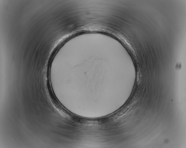 X0000098070438200805021001