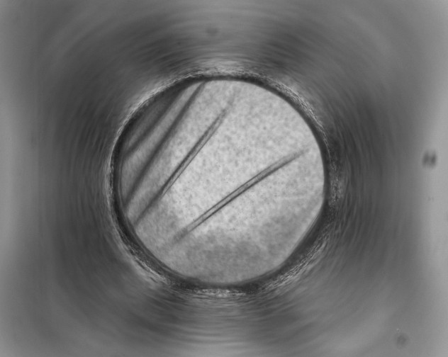 X0000098070439200805021001