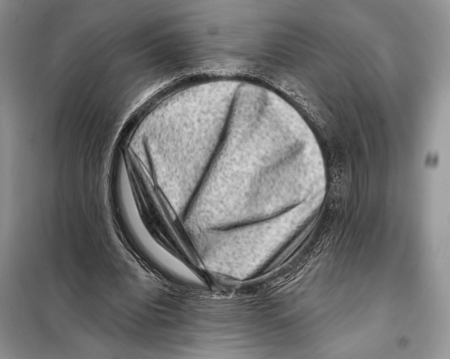 X0000098070440200805021001