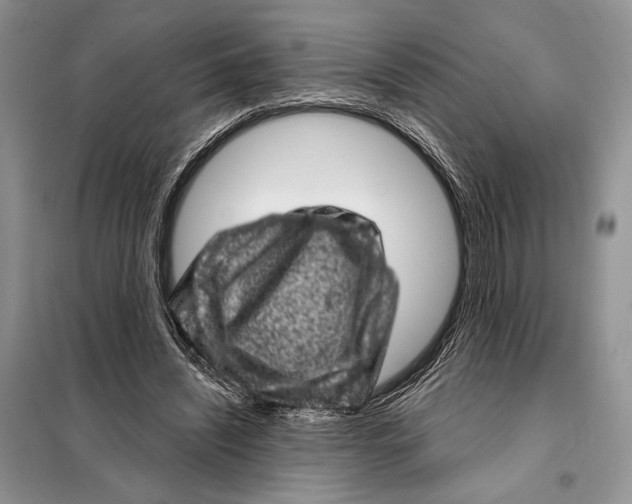 X0000098070444200805021002