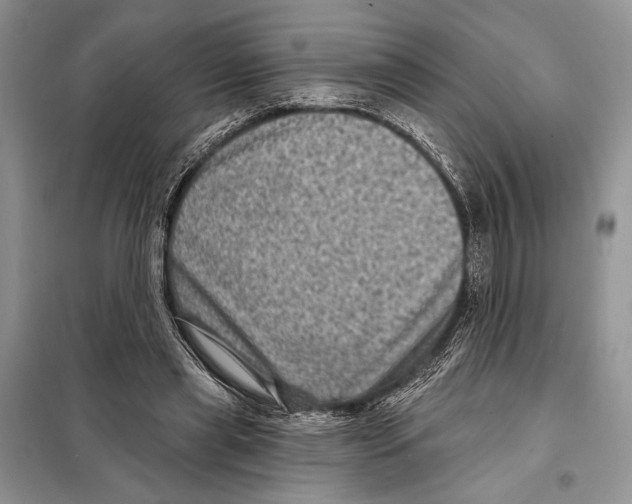 X0000098070445200805021002