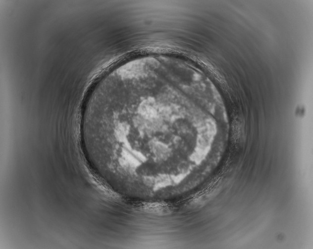 X0000098070446200805021002