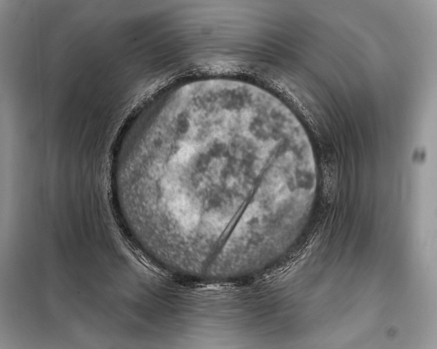 X0000098070447200805021002