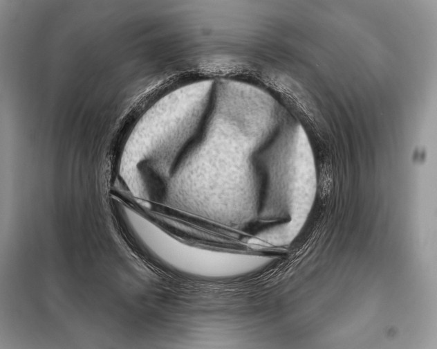 X0000098070448200805021002