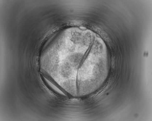 X0000098070449200805021002