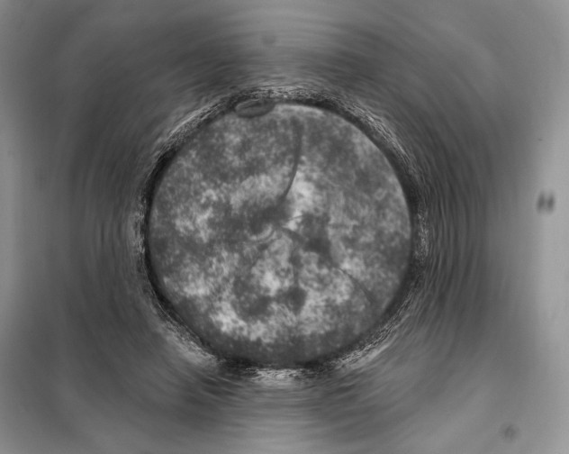 X0000098070450200805021002