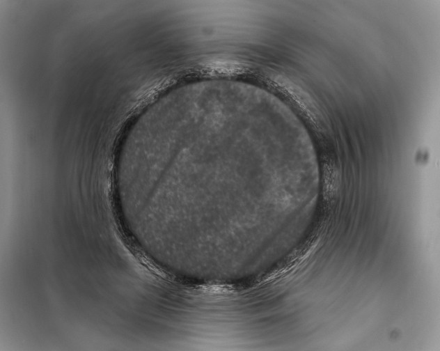 X0000098070451200805021002