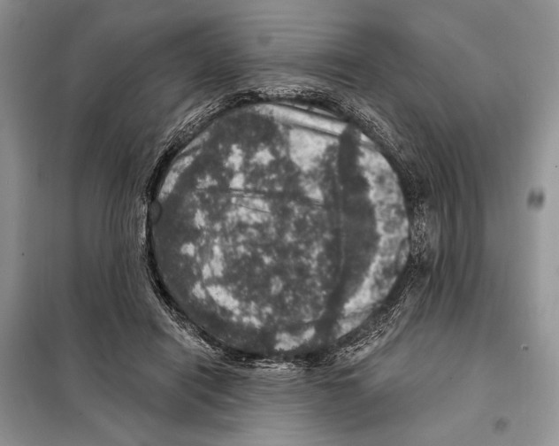 X0000098070454200805021002