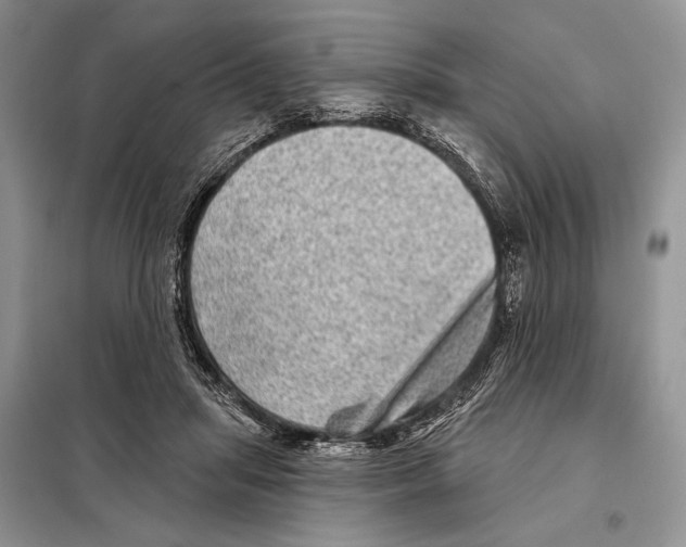 X0000098070455200805021002