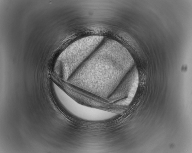 X0000098070456200805021002