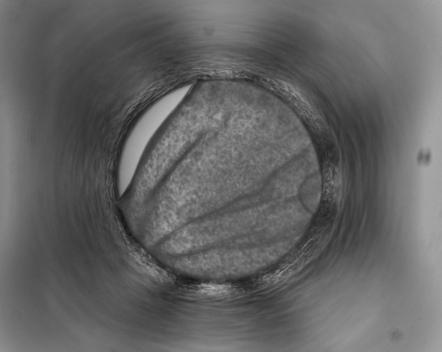 X0000098070457200805021002