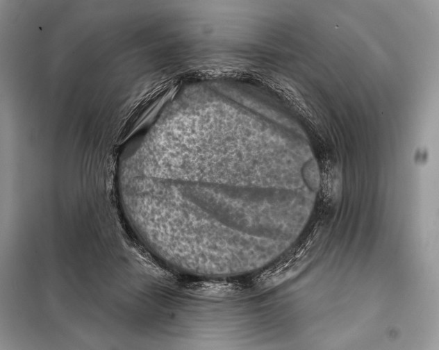 X0000098070458200805021002