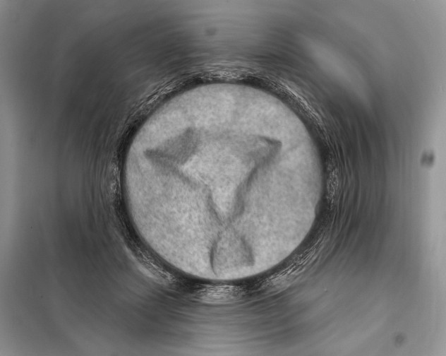 X0000098070459200805021002