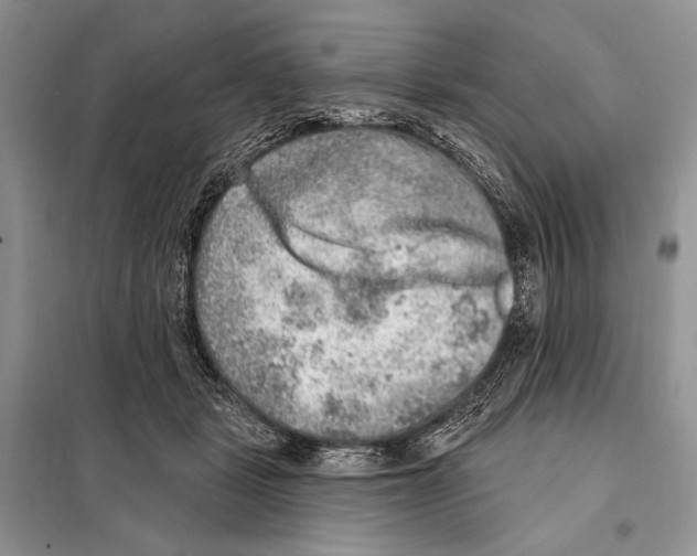 X0000098070461200805021002