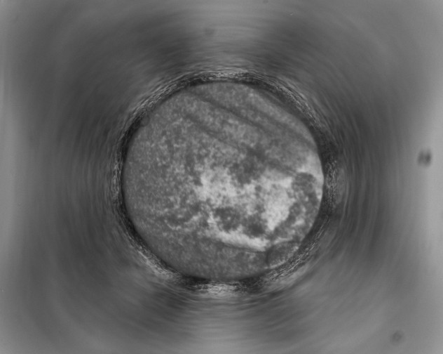 X0000098070462200805021002