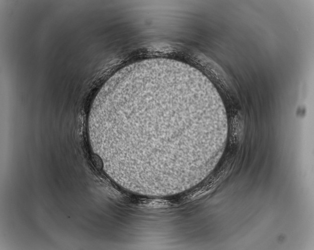 X0000098070463200805021002