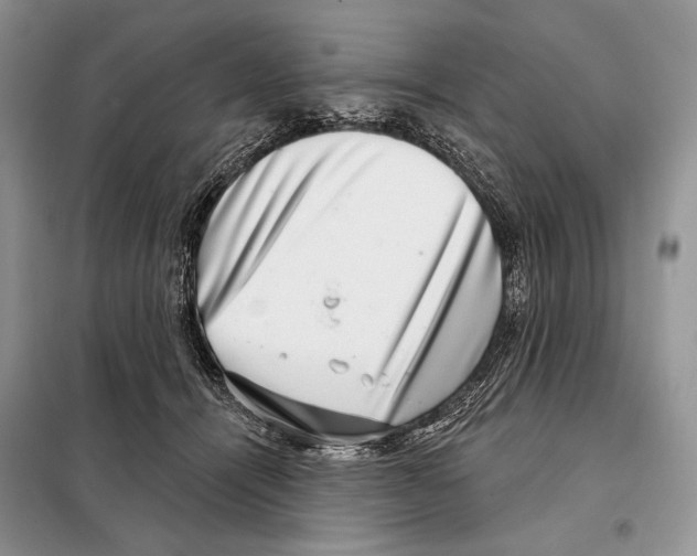 X0000098070464200805021002