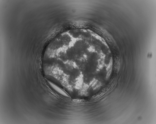 X0000098070465200805021002