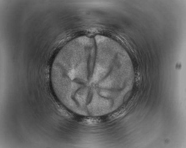 X0000098070466200805021002