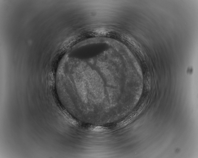 X0000098070467200805021002