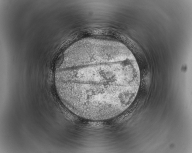 X0000098070469200805021002