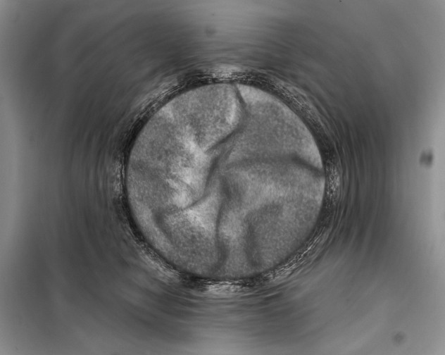 X0000098070470200805021002