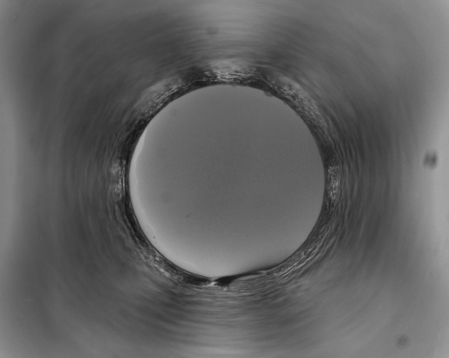 X0000098070471200805021002