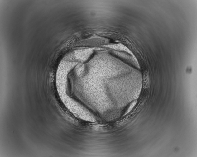 X0000098070472200805021002