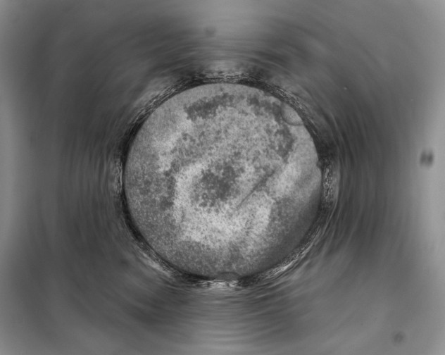 X0000098070474200805021002