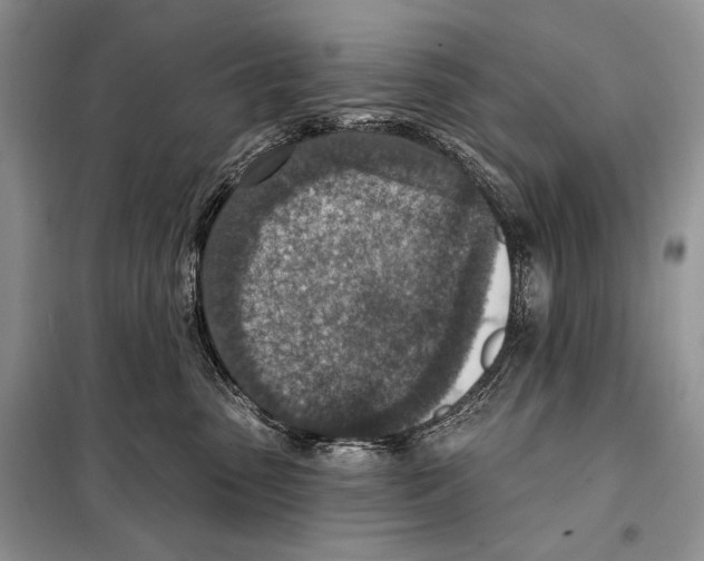 X0000098070475200805021002